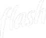 Logo flash